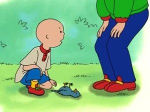 Poster for Caillou's Getting Older!