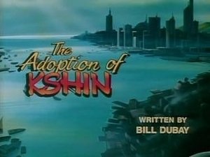 Poster for The Adoption of Kshin
