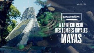 Poster for Episode 11