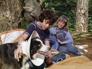 Poster for Five on a Secret Trail
