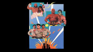 Poster for SummerSlam 1991