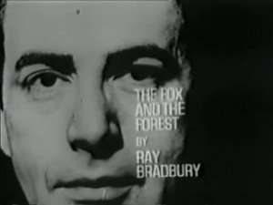 Poster for The Fox and the Forest