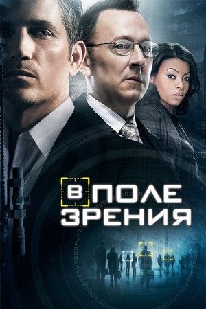 В поле зрения