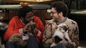 Poster for A Box of Puppies Walks Into a Bar