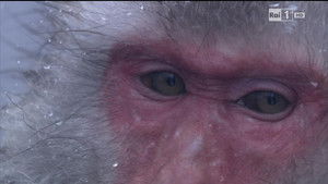 Poster for Episode 6 Poster for Episode 6