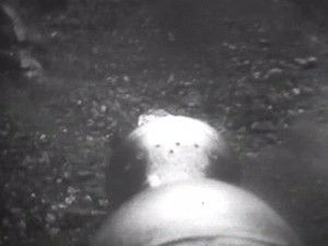 Poster for The Krotons (3)