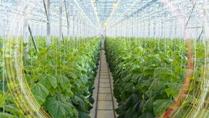 Poster for Can Tech Save the World?