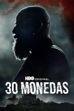 30枚银币