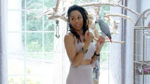 Poster for Guess Who's Back? Poster for Guess Who's Back?