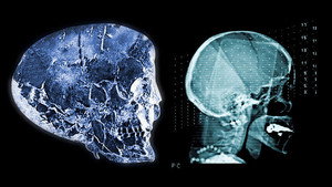 Poster for The Anunnaki Connection