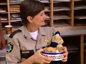 Poster for British Law