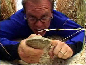 Poster for Send in the Clams