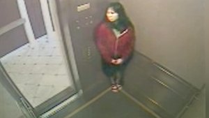Poster for The Bizarre Death of Elisa Lam
