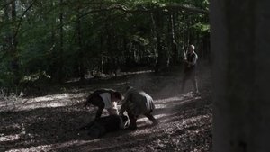 Poster for Mary Webster: The Witch of Hadley