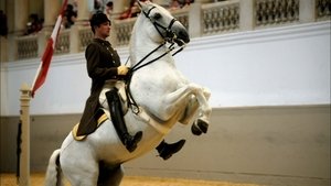 Poster for Legendary White Stallions