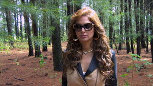 Poster for Episode 21 Poster for Episode 21