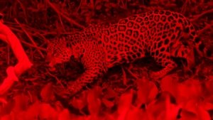 Poster for Episode 7