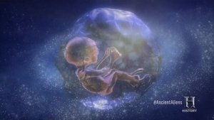 Poster for Decoding the Cosmic Egg