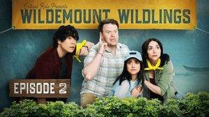 Poster for Into the Wilde