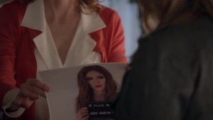 Poster for Meet the Shannons