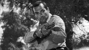 Poster for Tug of War