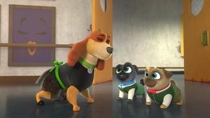 Poster for Pups of the Dance
