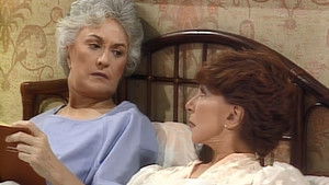 Poster for The Custody Battle