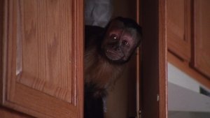 Poster for Monkey