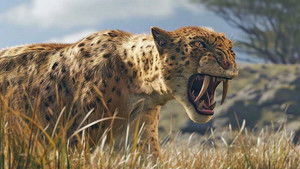 Poster for Episode 12