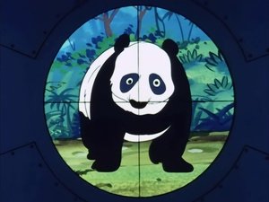 Poster for A Baby Panda is Born