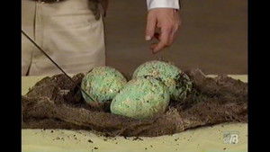 Poster for Snake Eggs