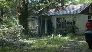 Poster for The Star Card Poster for The Star Card