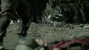Poster for COLONY OF ANTS