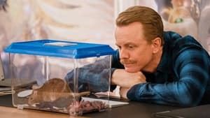 Poster for To Catch a Mouse