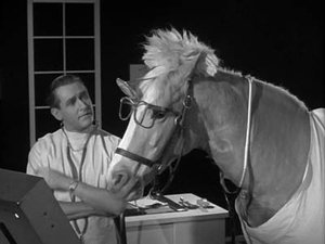 Poster for Doctor Ed