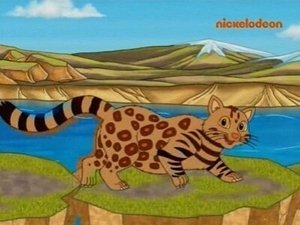 Poster for Pampas Cat & Friends Help the Rescue Center