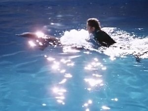 Poster for A Dolphin Song For Lee (2)