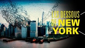 Poster for Episode 8