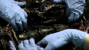 Poster for What Hides Beneath