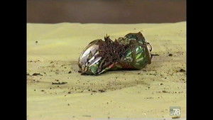 Poster for Mountain Dew Can Provides Pleasant Challenge For Appraiser