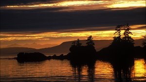 Poster for A Mystery in Alaska