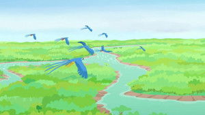 Poster for Amazin' Amazon Adventure