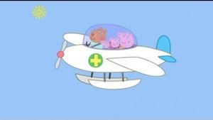 Poster for The Flying Vet