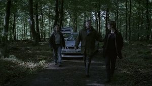 Poster for Before the Frost