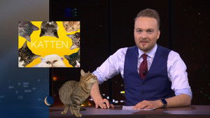 Poster for Cats | Alex Ploeg