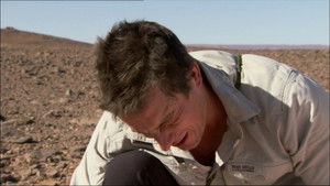 Poster for Bear Eats