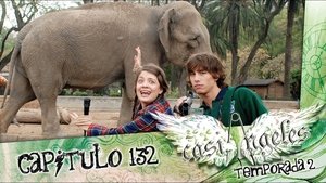 Poster for Episode 132: MORE WORDS LESS WORDS Poster for Episode 132: MORE WORDS LESS WORDS