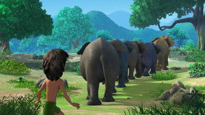 Poster for The Elephant's Secret