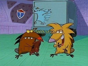 Poster for Pack Your Dags Poster for Pack Your Dags