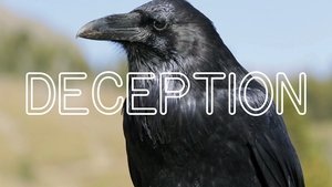 Poster for Can Animals be Deceptive?